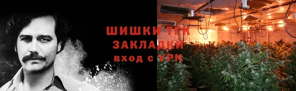сатива Горнозаводск