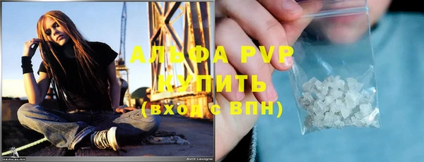 стаф Горняк