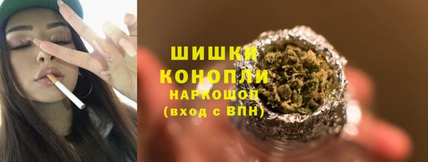 сатива Горнозаводск