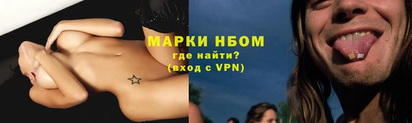 сатива Горнозаводск