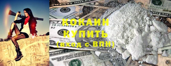 стаф Горняк