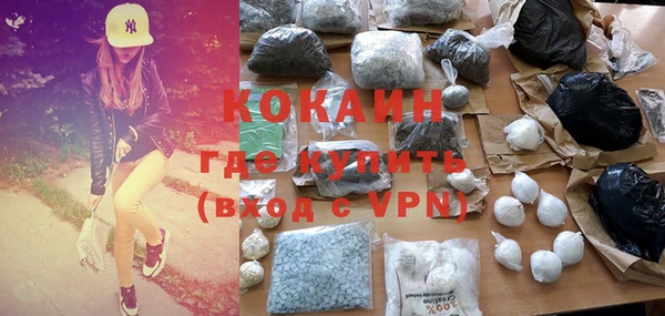 стаф Горняк