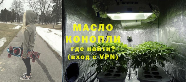 сатива Горнозаводск