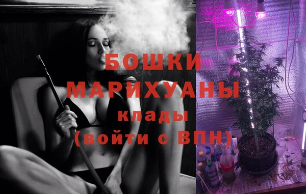 стаф Горняк