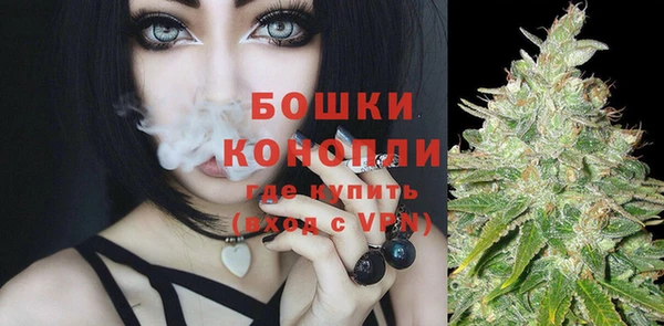 сатива Горнозаводск