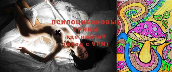 прущие крисы Горно-Алтайск