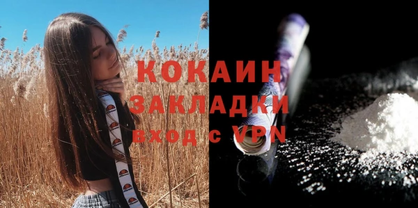 стаф Горняк