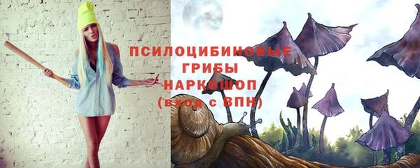 сатива Горнозаводск