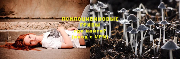 стаф Горняк