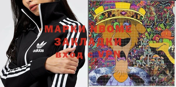 стаф Горняк