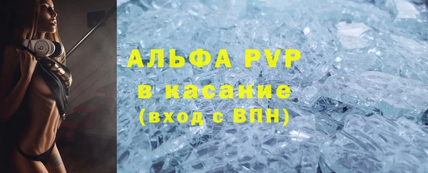 стаф Горняк